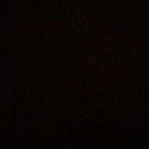 Meet your Posher, Wesley